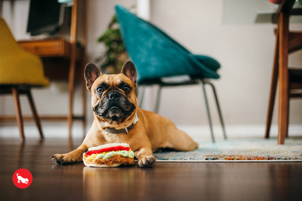 El Taco Dog Plush Toy - International Classic™ Chew-Resistant Squeaky Stuffed Animal for Pets | Perfect for Playtime, Training & Cuddling | Pet P.L.A.Y.