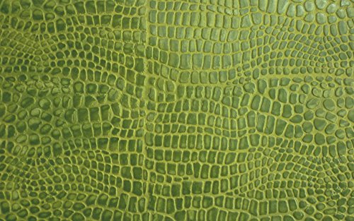 Croc Skin