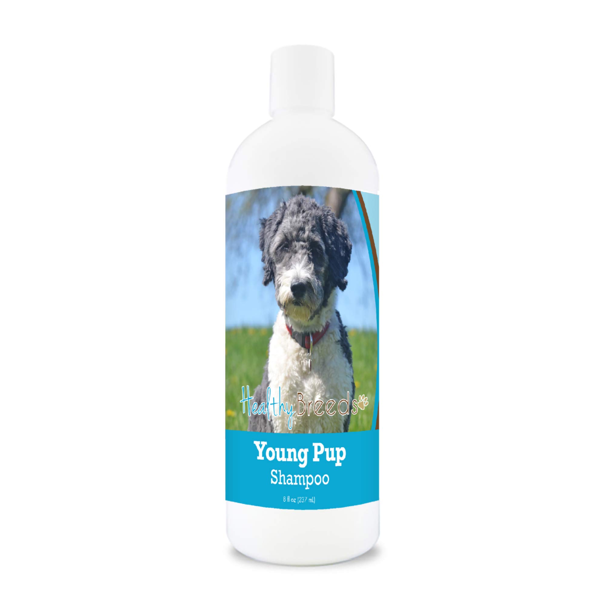 Healthy Breeds Aussiedoodle Puppy Shampoo - 8 oz Gentle Cleansing Formula for Soft Coat & Sensitive Skin | Perfect for Bath Time & Grooming Routine