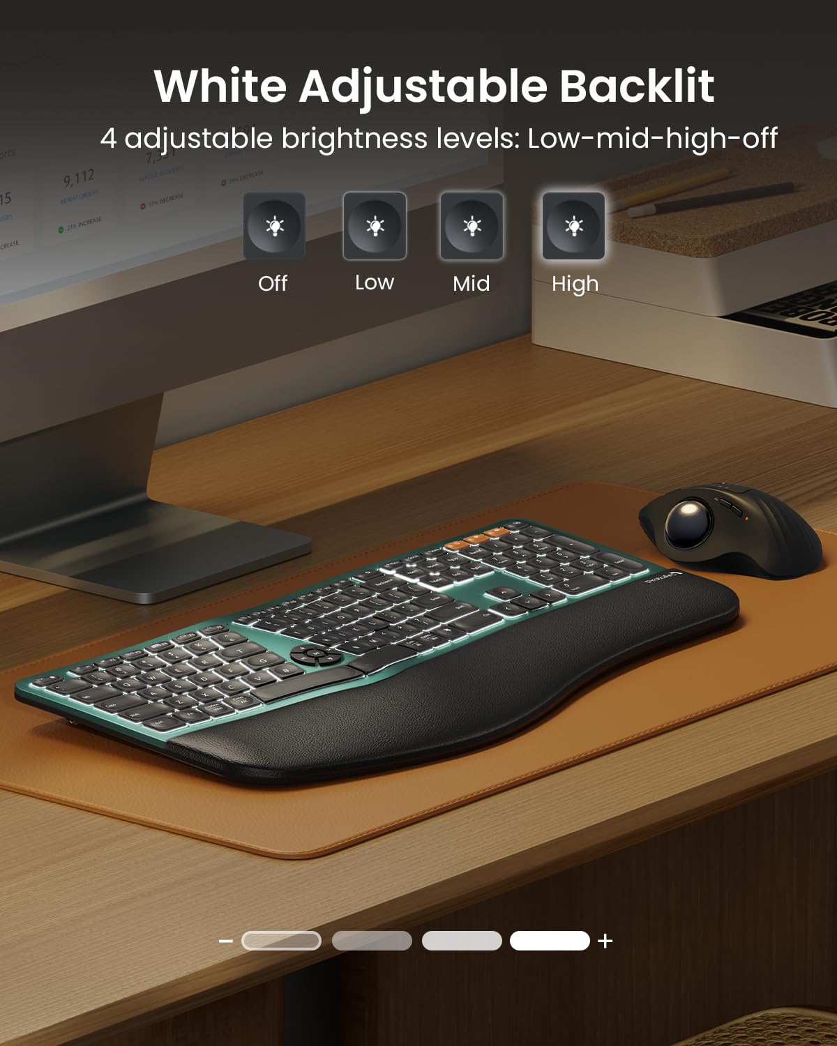 ProtoArc EK01 Plus Backlit Bluetooth Ergonomic Wireless Split Keyboard - Full Size with Dual Bluetooth & USB, Cushioned Wrist Rest, Rechargeable - Compatible with Windows/Mac/Android (Green) | Perfect for Office Work, Gaming & Long Typing Sessions