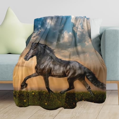 Horse1