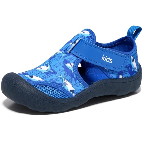 Royal Blue Shark