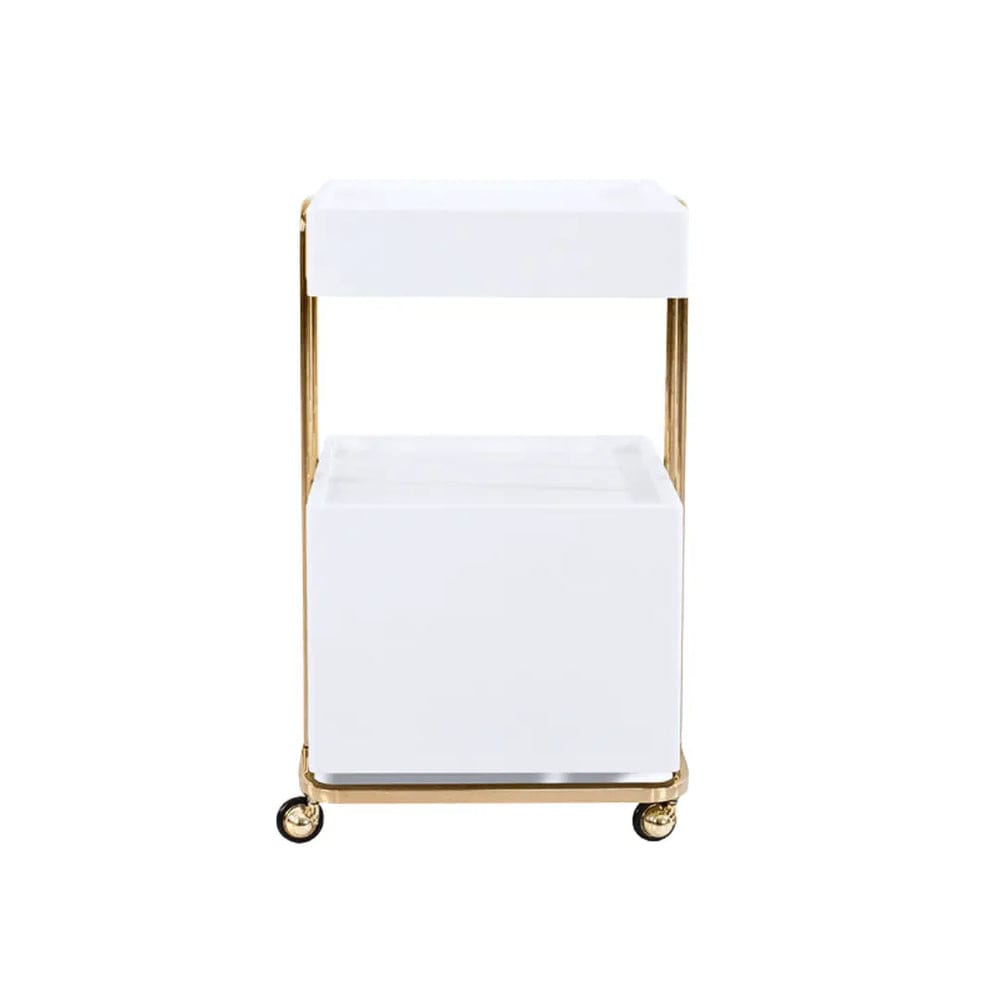 Professional Beauty Salon Rolling Trolley with Double Storage Drawers - Perfect for Hair Styling, Nail Art & Makeup Organization in Salons or Home Use