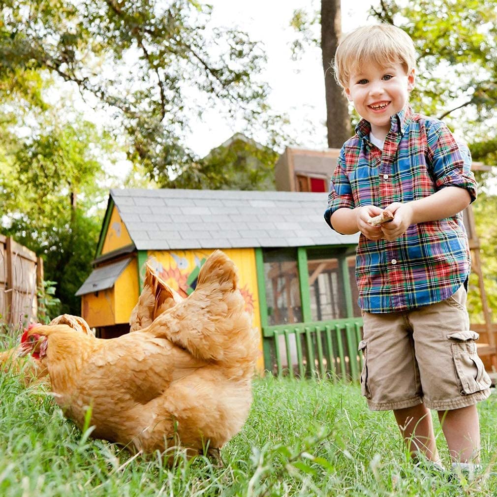 Large Metal Chicken Coop & Rabbit Cage - Foldable Walk-in Poultry Run with 4 Doors & Waterproof Cover - Portable Pet Playpen for Indoor/Outdoor Use - Exercise Kennel for Chickens, Rabbits, Ducks - WR-XXL-4-Black - Perfect for Backyard Farming, Pet Exercise & Weather Protection