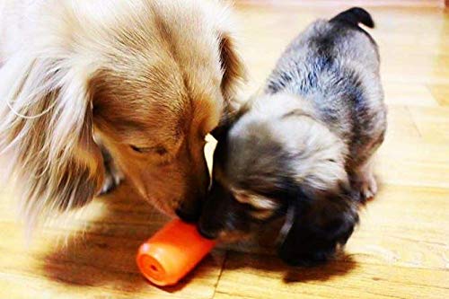 **SodaPup Soda Can Dog Chew Toy – Durable Non-Toxic Natural Rubber Treat Dispenser for Mental Stimulation & Anxiety Relief – USA Made Pet Safe Chewing Toy for Aggressive Chewers – Perfect for Playtime, Training & Stress Relief**