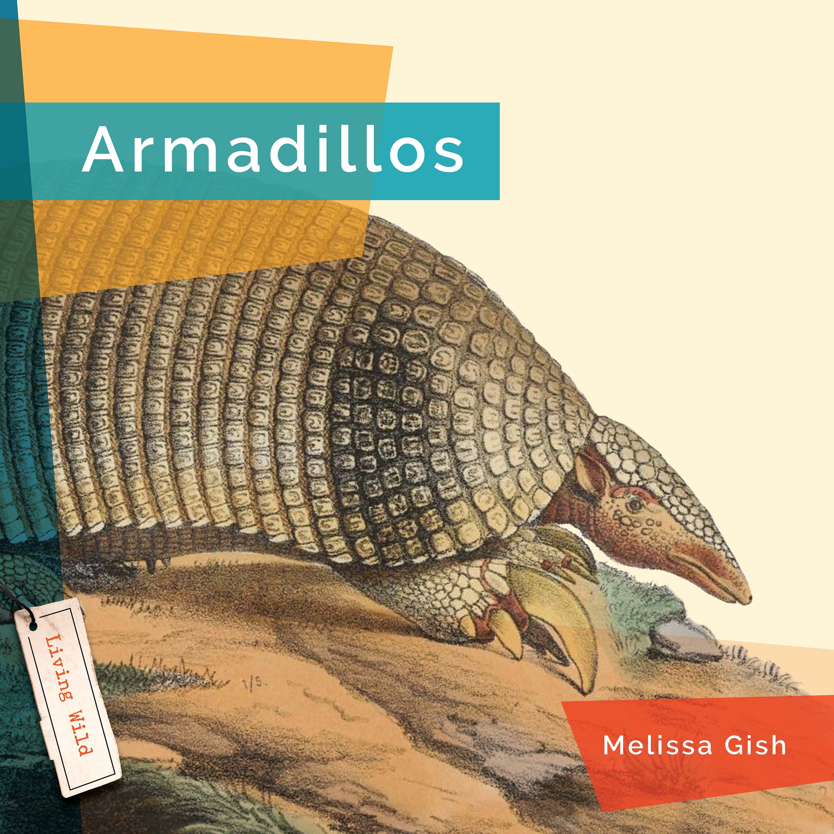 Armadillos Book 9781640267718 - Learn About Armadillos Facts, Habitats & Behavior - Perfect for Animal Lovers, Science Projects & Nature Education
