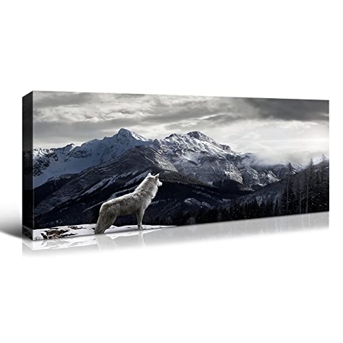 Nature Animal107