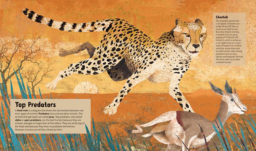 Barefoot Books Incredible Animals - Educational Wildlife Books for Kids | Perfect for Homeschooling, Classroom Learning & Bedtime Stories
