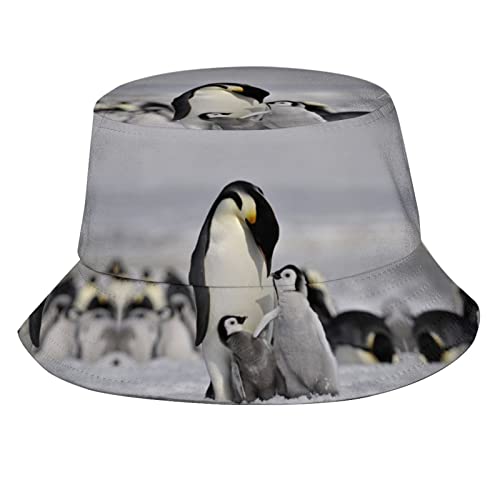 Penguin 02