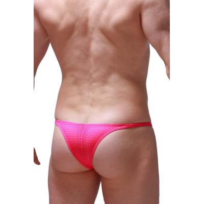 A Summer to Remember: The Tale of the Bee Pink Bikini