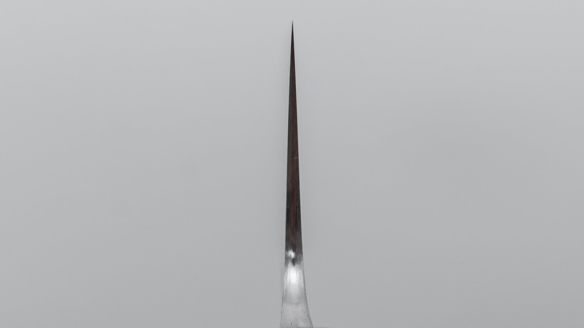 Premium Jiro Tsuchime Wa Gyuto 240mm Japanese Chef Knife with Taihei Tagayasan Handle (#669) - Perfect for Professional Chefs & Home Cooking, Sushi Preparation & Meat Cutting