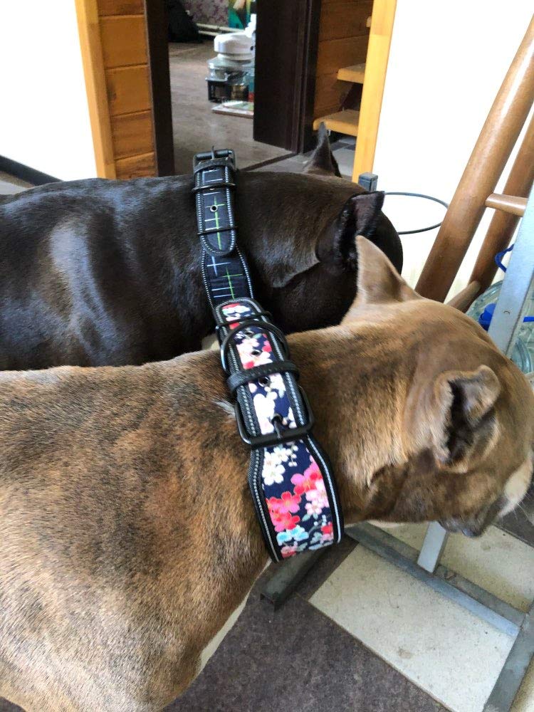 Reflective Nylon Wide Adjustable Dog Collar - Fashion Printed Pet Collars for Medium & Large Dogs - Pitbull, French Bulldog - Sizes S, M, L (Medium, G) - Perfect for Night Walks & Outdoor Adventures