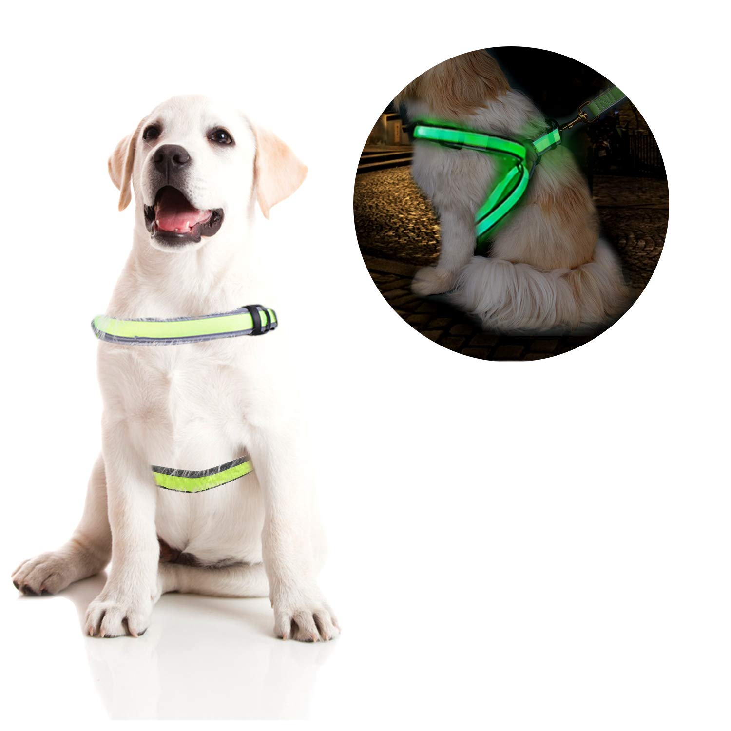 OBloved LED Dog Harness - USB Rechargeable Reflective Pet Vest for Small, Medium & Large Dogs | Adjustable Lightweight Design for Night Walks, Jogging & Outdoor Adventures (Size S)