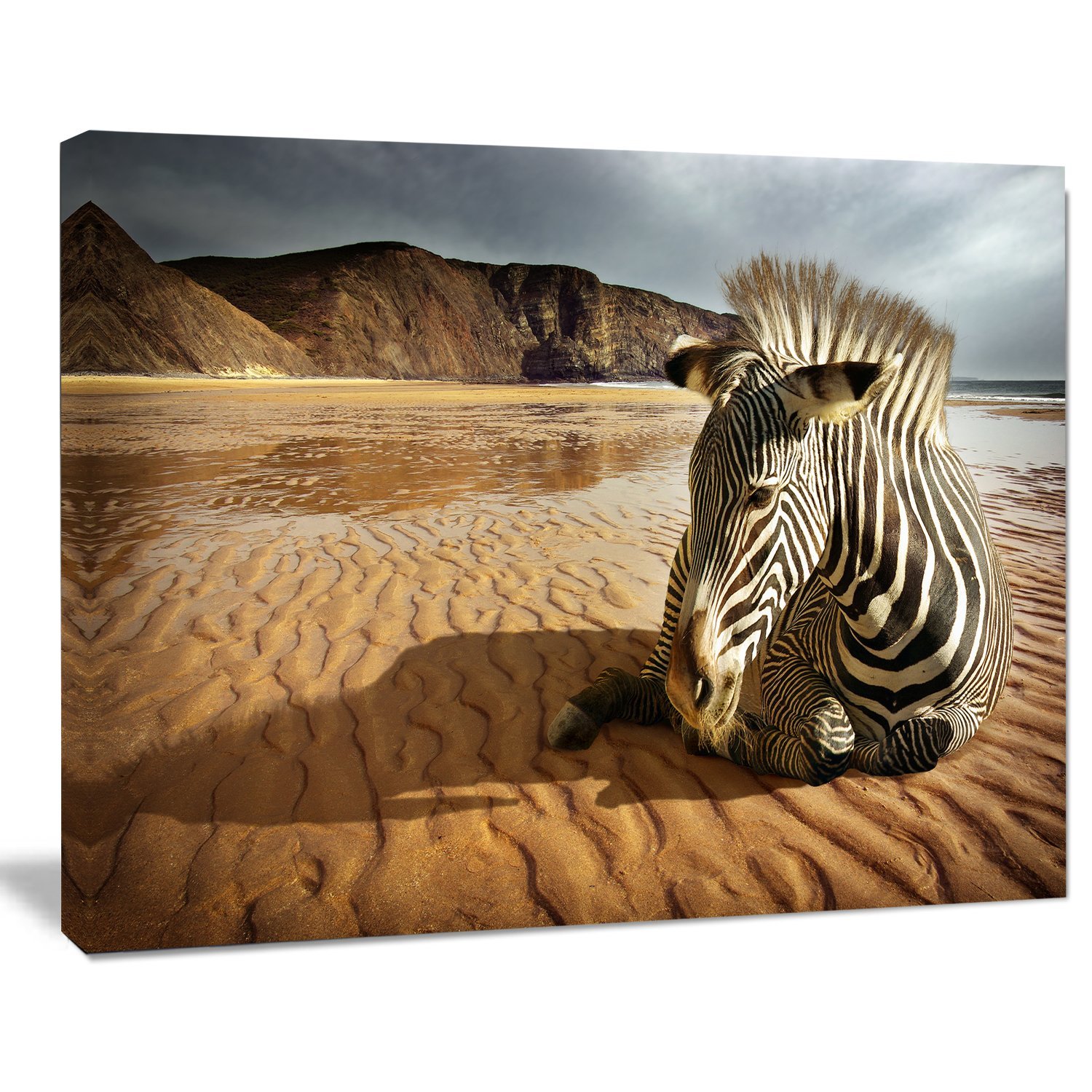 Zebra Wildlife Photography Art Print - Stunning Beach Animal Wall Decor for Living Room, Bedroom & Office
