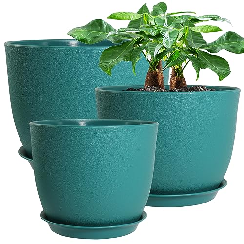 Malachite Green