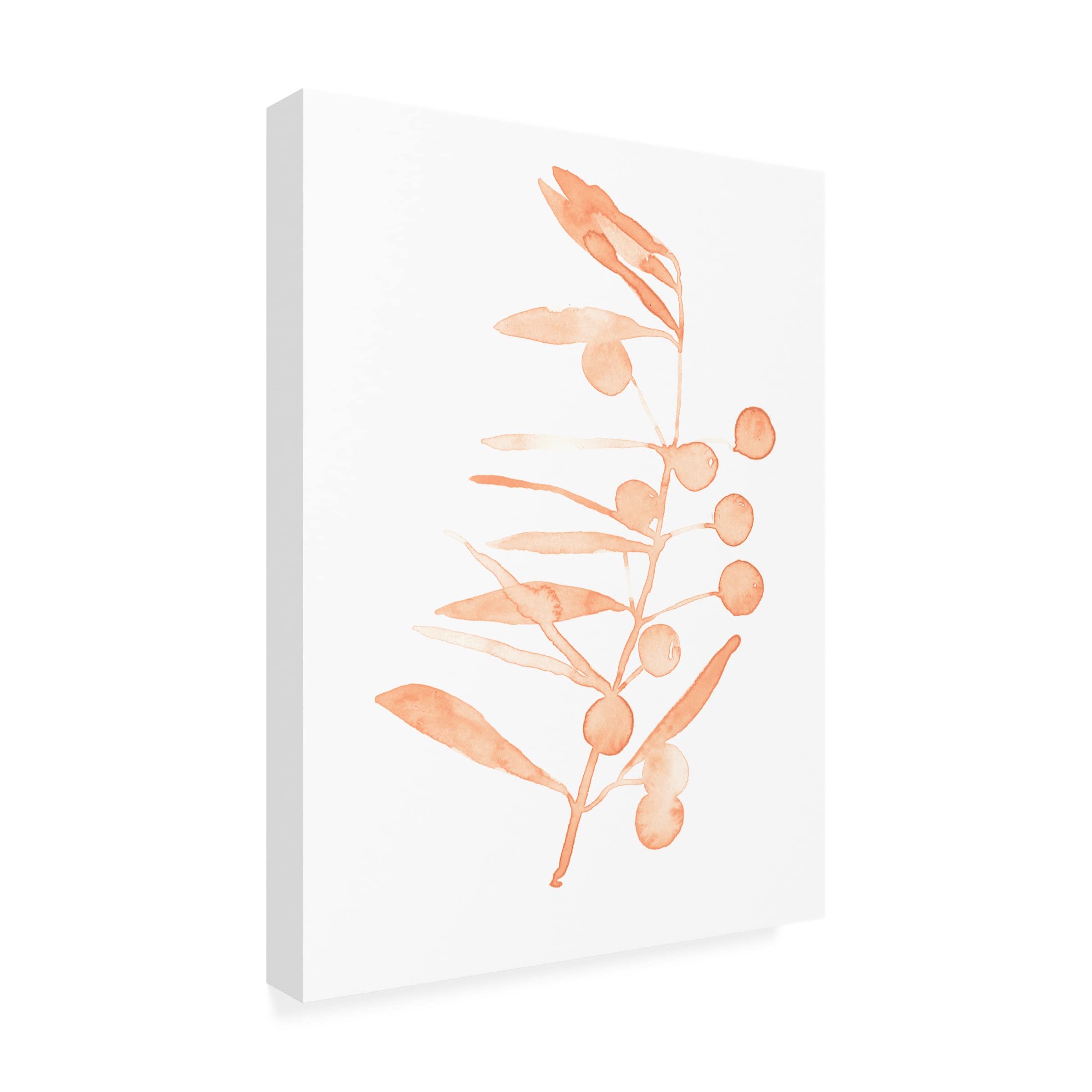 Emma Scarvey 'Blush Olive Branch III' Canvas Wall Art Print - Modern Floral Home Decor for Living Room, Bedroom & Office - Trademark Fine Art Collection