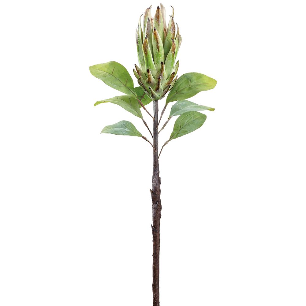 Protea Spray Green - Natural Air Freshener for Home & Office | Refreshing Floral Scent | Perfect for Living Rooms, Bedrooms & Bathrooms