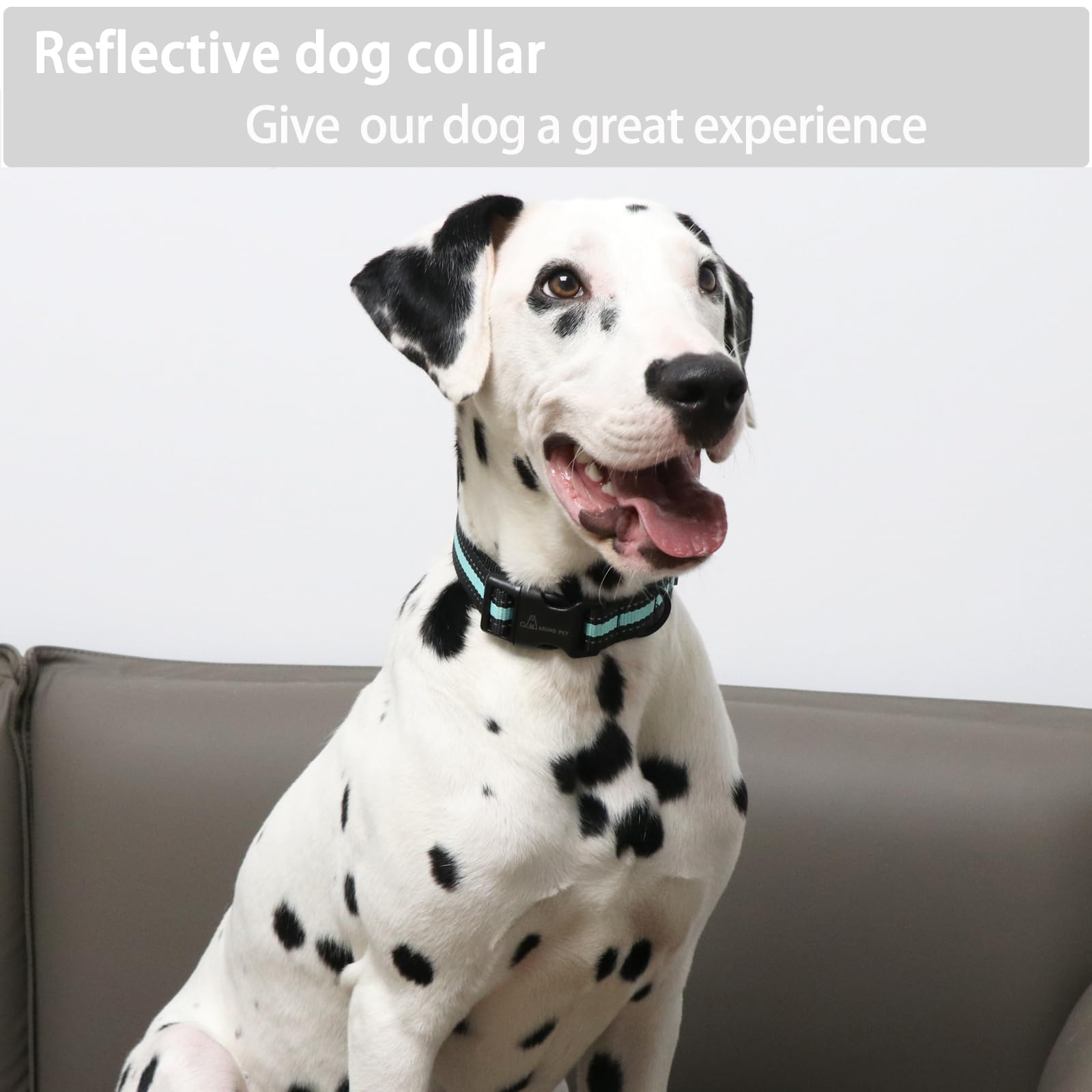 ARING PET Reflective Dog Collar - Adjustable Green Nylon Collar for Medium Dogs with Quick Release Buckle | Lightweight & Durable for Night Walks, Training & Outdoor Adventures