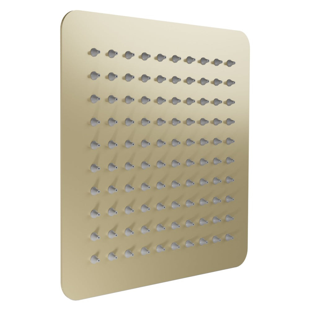 ZLINE Bliss 8 Inch Rainfall Shower Head - Champagne Bronze Finish (BLS H8 CB) - Luxury Bathroom Upgrade for Spa-Like Shower Experience
