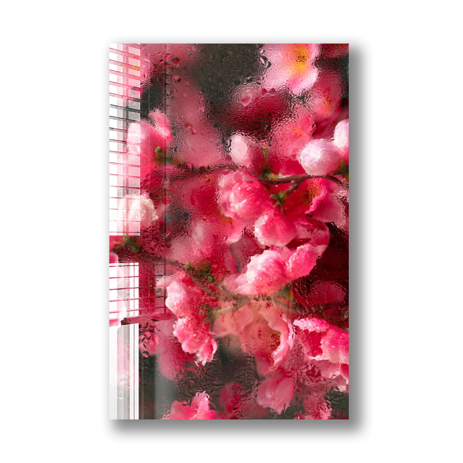 Humidity Flower - Best Moisture Absorber for Home, Closet & Bathroom | Prevent Mold & Odor | Perfect for Humid Areas & Small Spaces