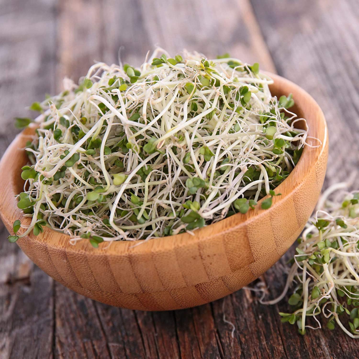 Organic Non-GMO Broccoli Sprouting Seeds - 1 Lb Pack for Microgreens & Sulforaphane-Rich Sprouts | Perfect for Healthy Salads, Juices & Superfood Smoothies