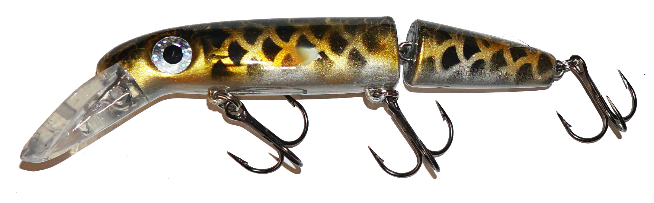 Large Scale Walleye