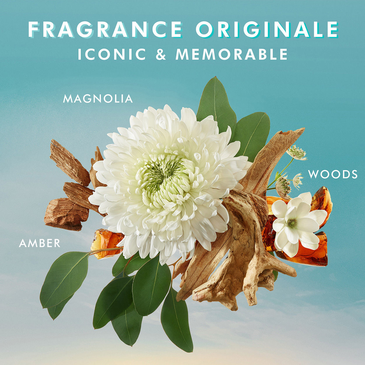 Original Fragrance Hand Wash - Gentle & Moisturizing for Daily Use at Home or Office