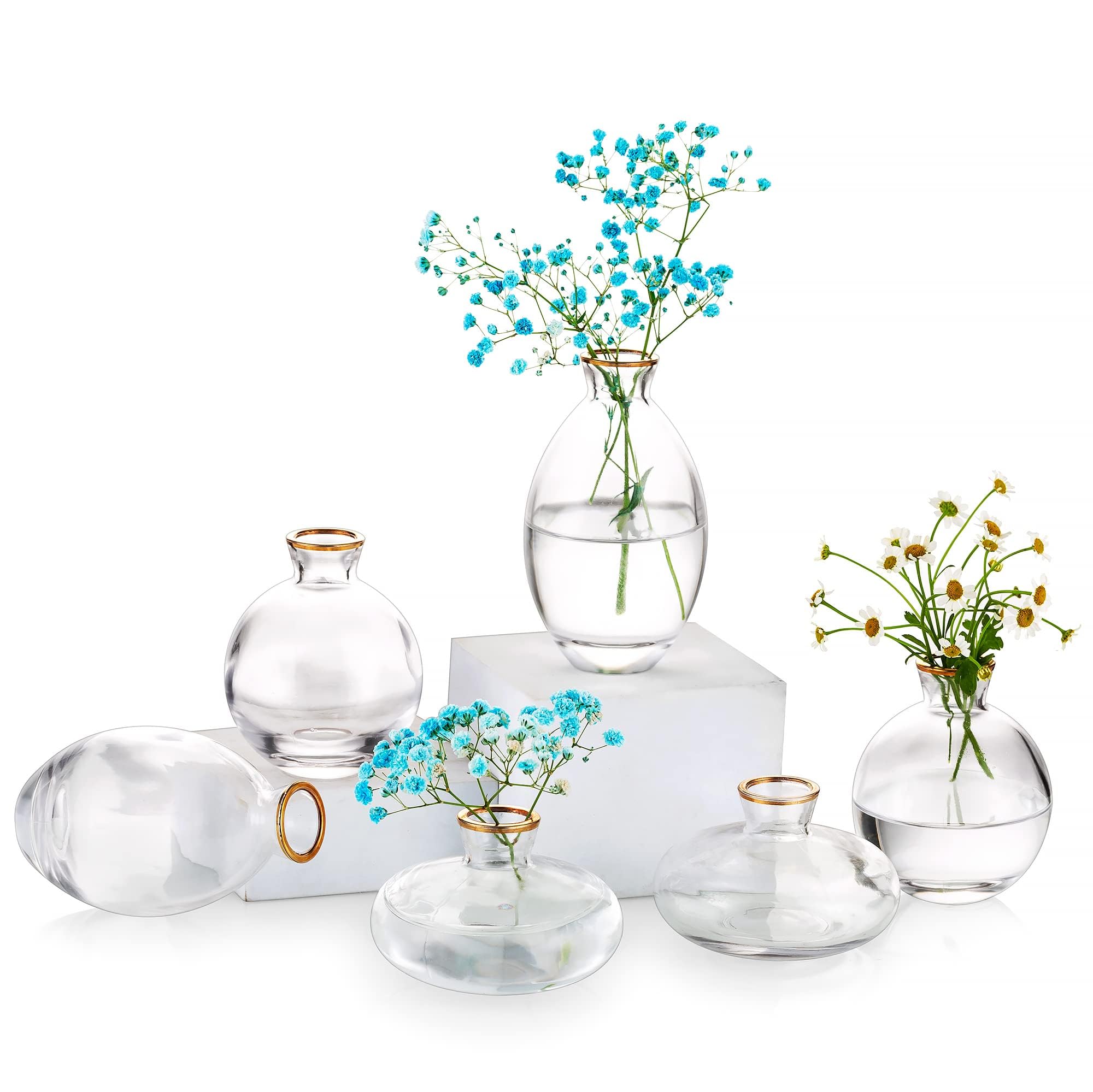 6Pcs Glass Bud Vases with Gold Rim - Modern Mini Flower Vases for Wedding Centerpieces, Table Decor, Bulk Floral Arrangements - Perfect for Home Decor, Bridal Showers & Romantic Dinner Settings