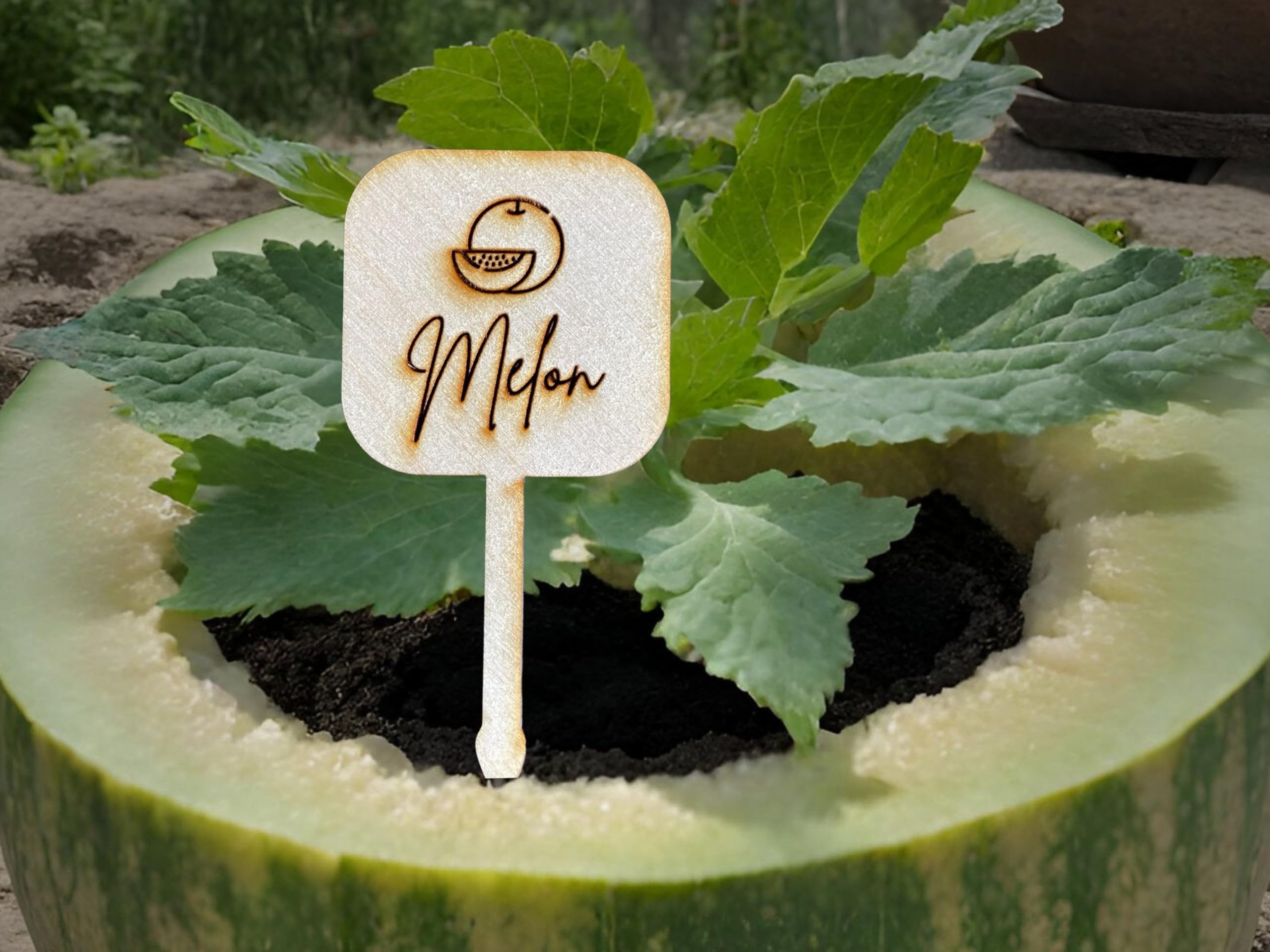 Handmade Acrylic Garden Stakes - Custom Herb Plant Markers for Vegetable Gardens, Personalized Plant Labels (Rosemary Design, MDF Material) - Perfect Gardening Gift for Mom & DIY Home Garden Decor