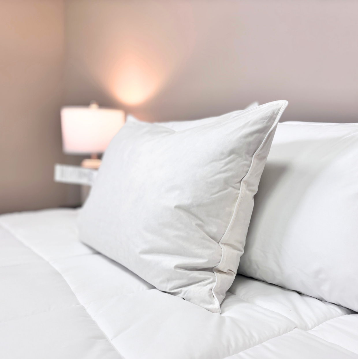 Premium Downlite Down Halo Pillow - Ultra Soft Hypoallergenic Luxury Bed Pillow for Side, Back & Stomach Sleepers - Perfect for Home, Hotel & Travel Use