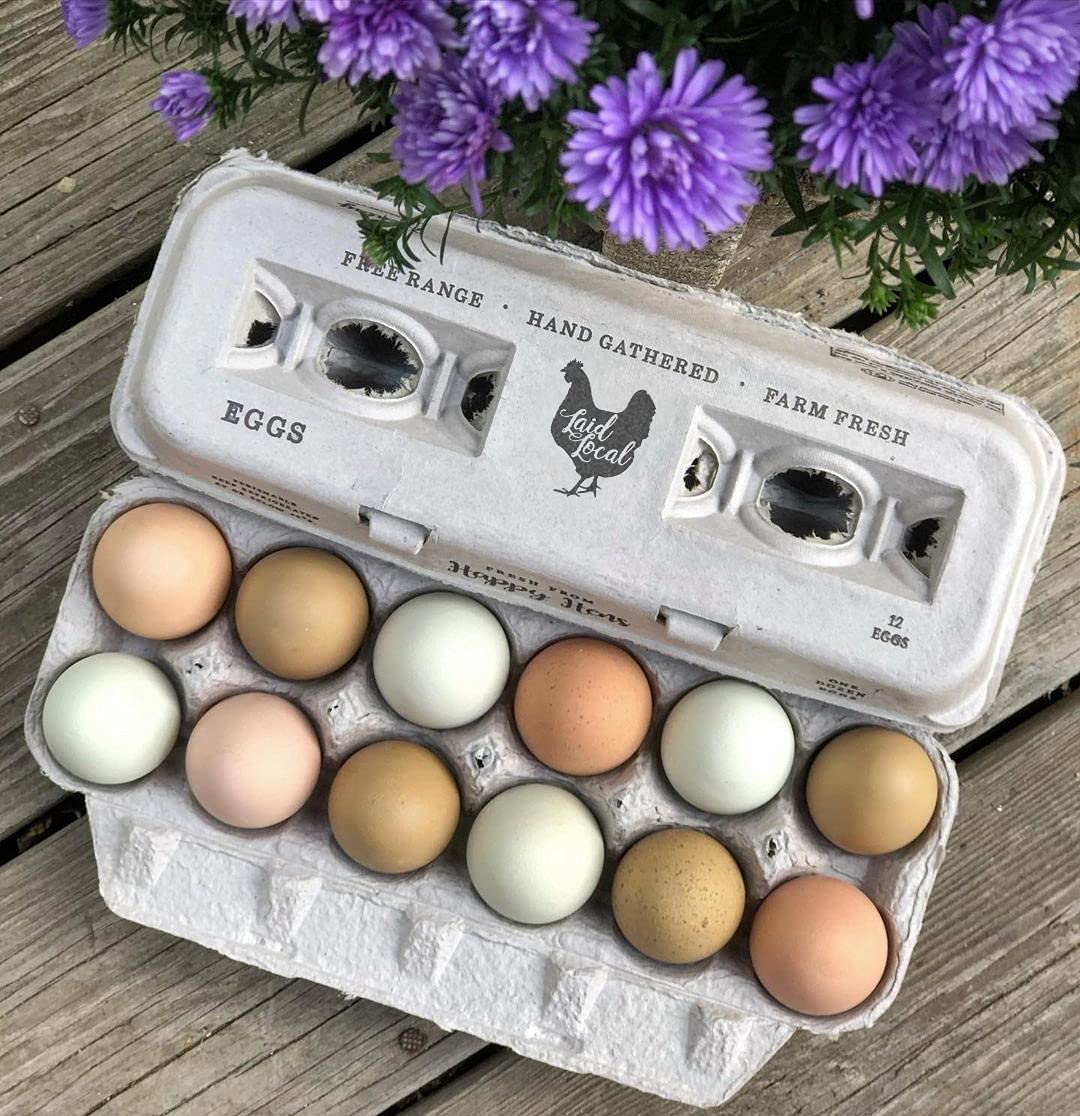 250 Egg Cartons Bulk Pack - Eco-Friendly Recycled Paper Egg Trays for Farm Fresh Eggs, Durable & Reusable XL Chicken Egg Holders with Cute Printed Designs - Perfect for Farmers Markets, Home Poultry & Egg Storage