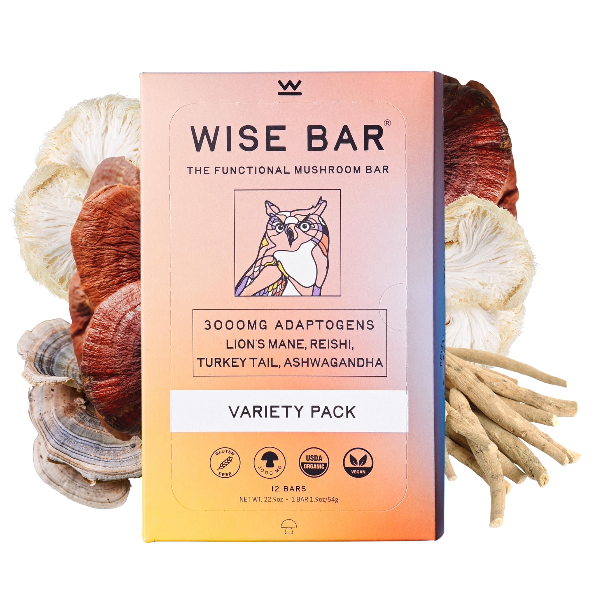 Organic Vegan Adaptogen Mushroom Nutrition Bars with Reishi, Lions Mane & Ashwagandha - Gluten Free Snacks for Natural Focus, Energy & Immunity Support - Variety Flavor Pack (12 Count) - Perfect for Hiking, Office Snacks & Post-Workout Recovery