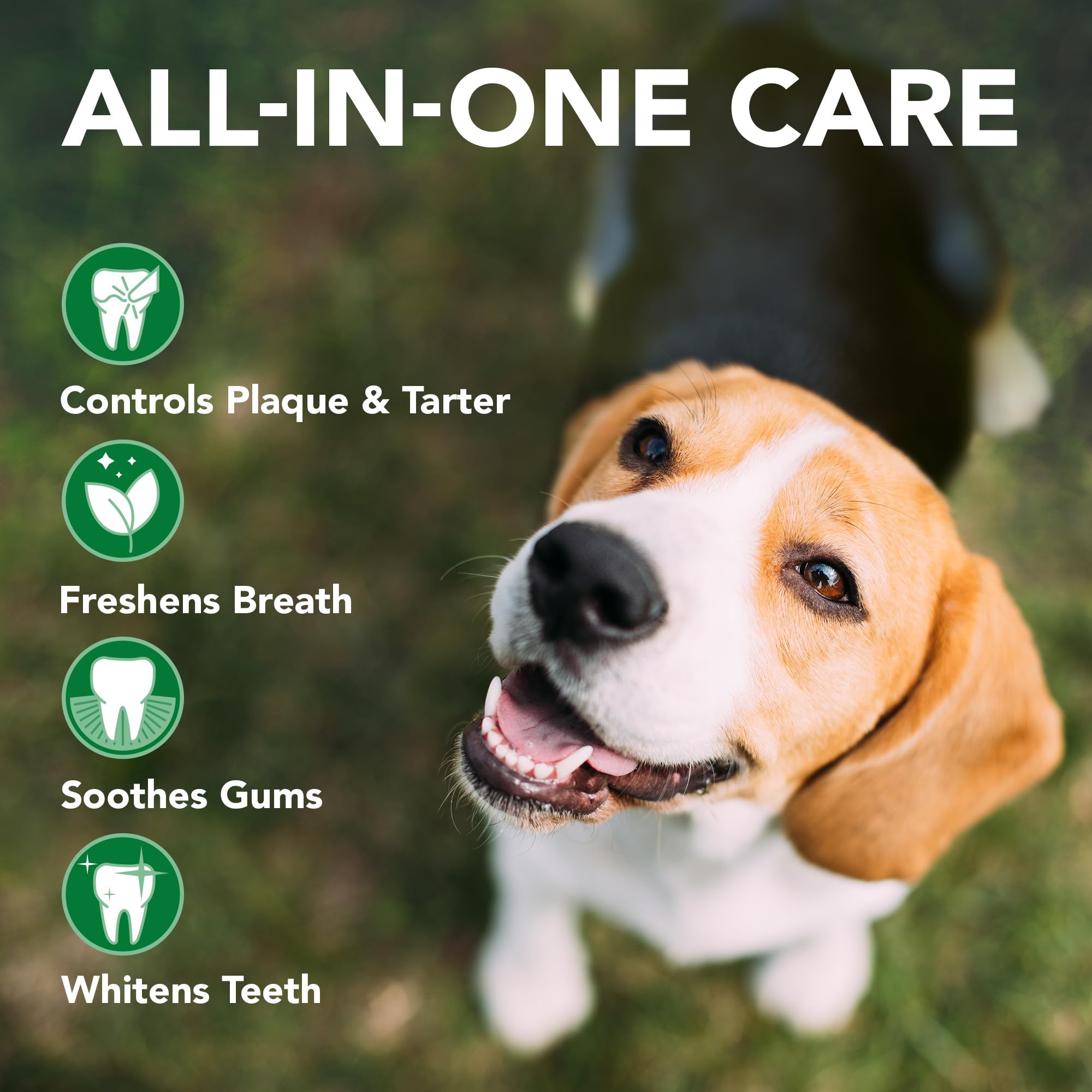 Vet's Best Enzymatic Dog Toothpaste for Teeth Cleaning & Fresh Breath - Vet Formulated Dental Care Gel - 3.5 oz Tubes (12 Pack) - Ideal for Daily Oral Hygiene & Preventing Plaque in Dogs