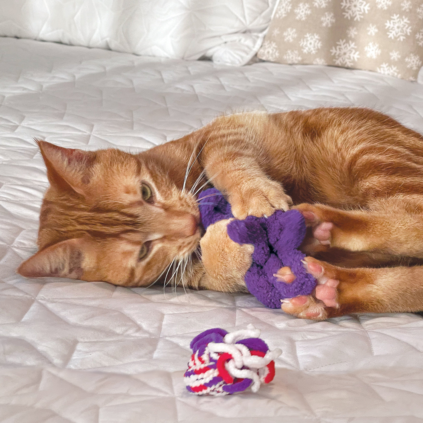 KONG Cat Active Rope Toy - Durable Red & Purple Interactive Cat Toy for Play & Exercise | Perfect for Indoor Cats & Playtime Bonding