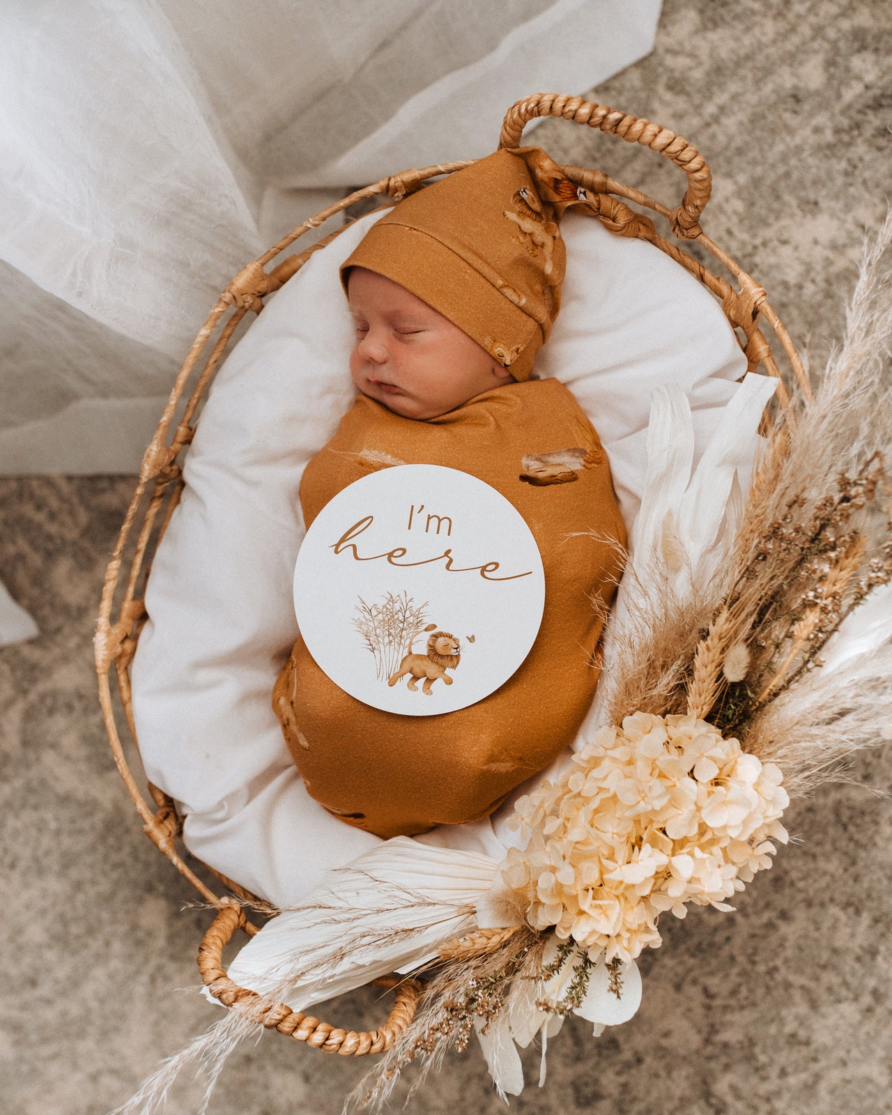 Snuggle Hunny Reversible Milestone Baby Photo Cards - Lion & Sunrise Gold Design for Newborn Photography, Baby Shower Gifts and First Year Memory Keepsakes