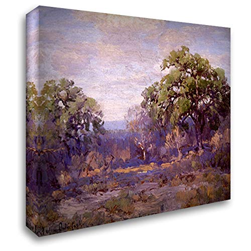 Robert Julian Onderdonk Brush Country Landscape 24x20 Stretched Canvas Art Print - Ready to Hang Wall Decor for Living Room, Bedroom & Office