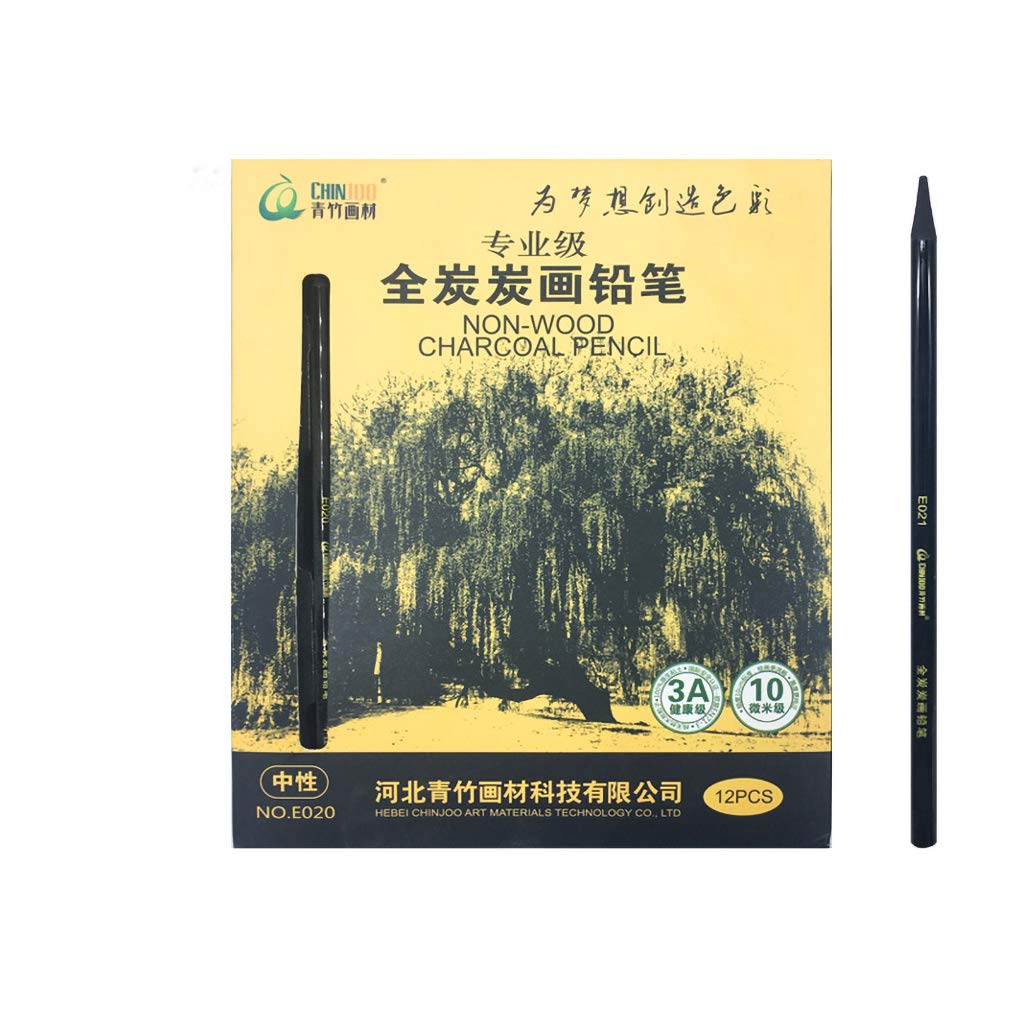 YYMIYU 12-Piece Professional Charcoal Pencil Set for Sketching & Drawing - Soft, Medium & Hard Graphite Pencils for Artists, Beginners & Art Students - Perfect for Portraits, Shading & Detailed Artwork