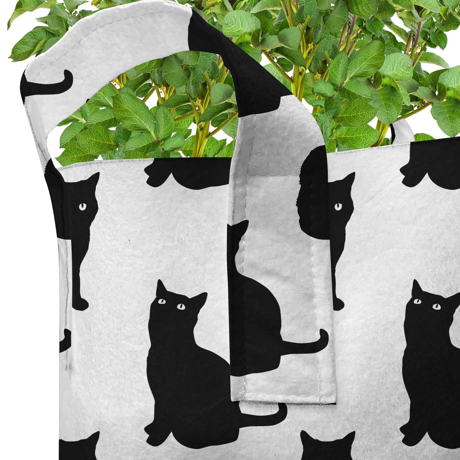Ambesonne 5-Pack Cat-Themed Grow Bags - Heavy Duty 5 Gallon Fabric Plant Pots with Handles, Playful Black Kitten Design (Black & White) - Perfect for Indoor/Outdoor Gardening, Balcony Plants & Cat Lovers