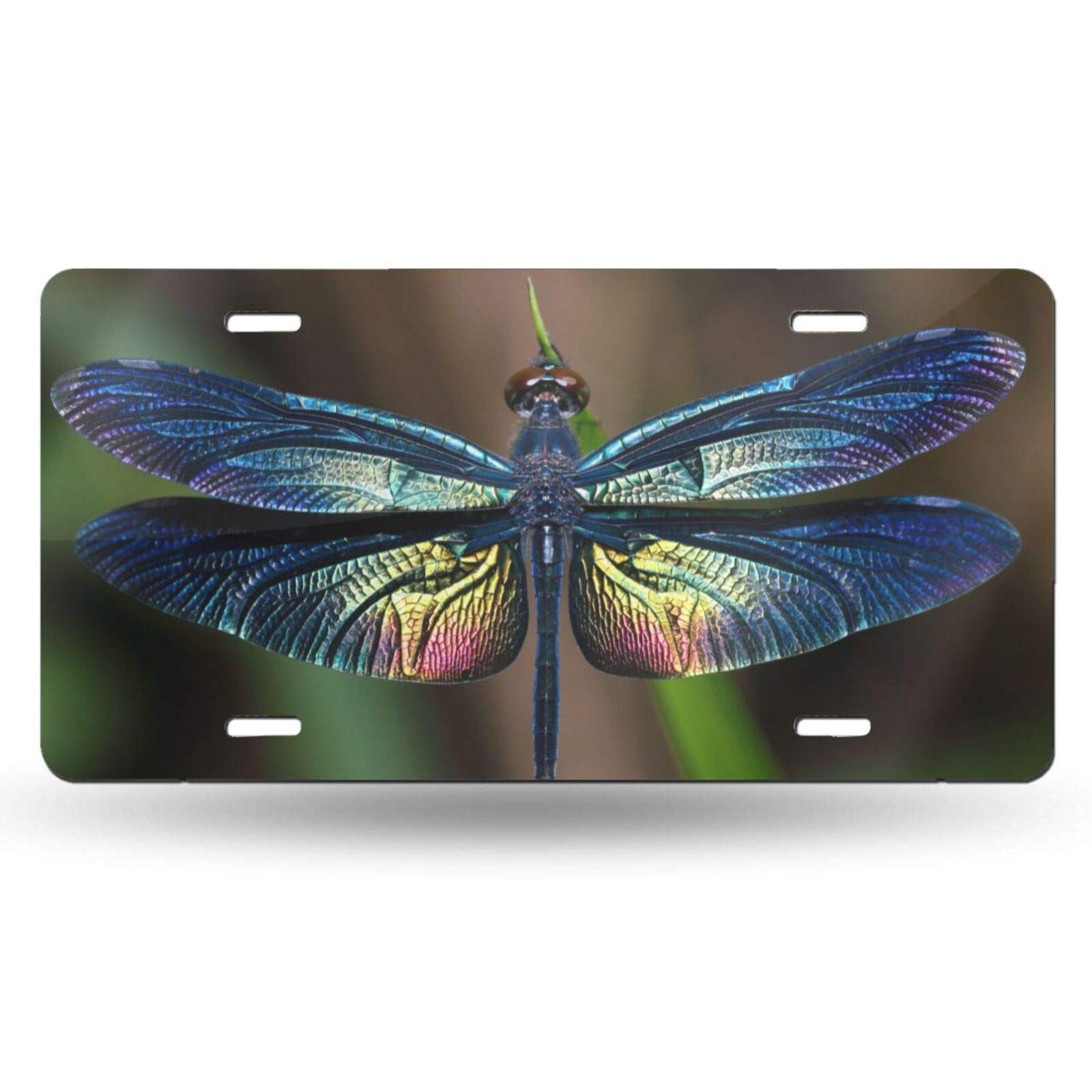 Delerain Dragonfly Metal License Plate Cover - 6x12 Inch Decorative Car Tag for Front Bumper, Novelty Auto & Home Decor Gift for Men & Women | Perfect for Cars, Trucks, Motorcycles & Garage Wall Art