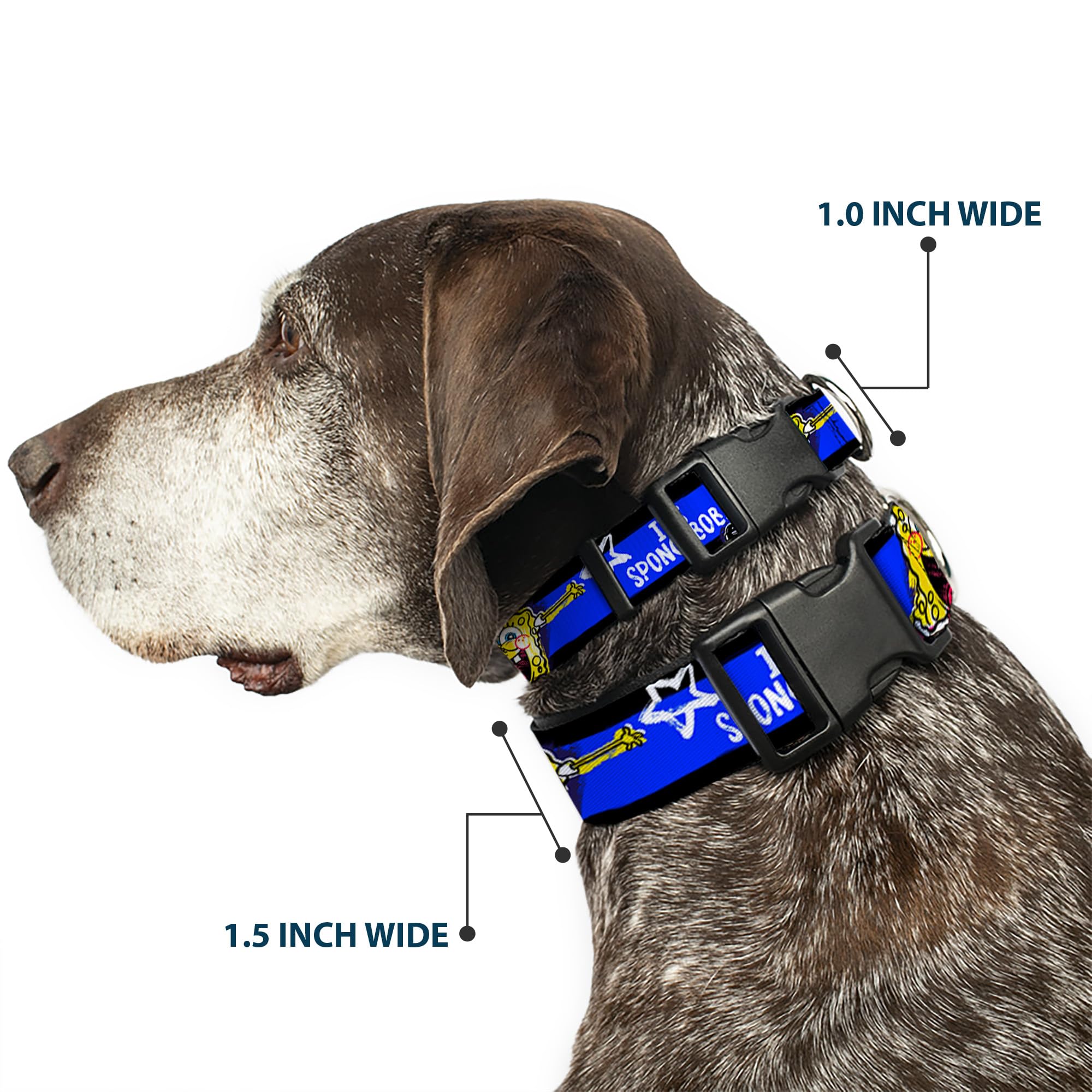 Spongebob Dog Collar with Plastic Clip - Black, Blue & White Striped Design (8-12 Inches, 0.5 Inch Wide) - Perfect for Small Dogs & Spongebob Fans