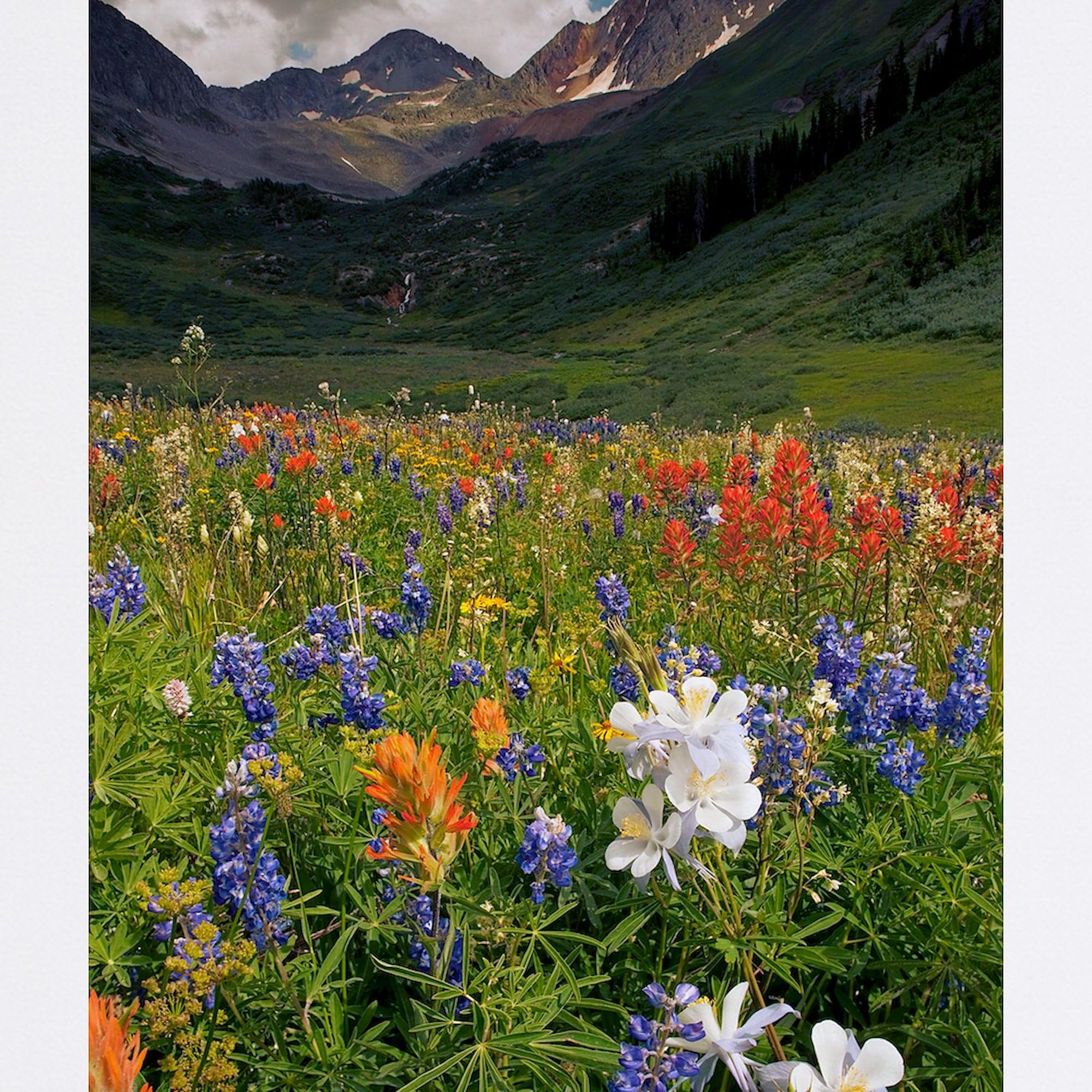 Non-Slip Rubber Gaming Mousepad with Alpine Flowers Design - Perfect for Office, Home & Gaming Setup | CafePress Rustler's Gulch Collection