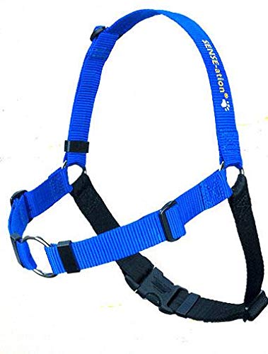 No-Pull Dog Harness - The Original Sense-ation Training Harness for Small Dogs (Blue) | Perfect for Walking, Running & Outdoor Adventures with Your Pet