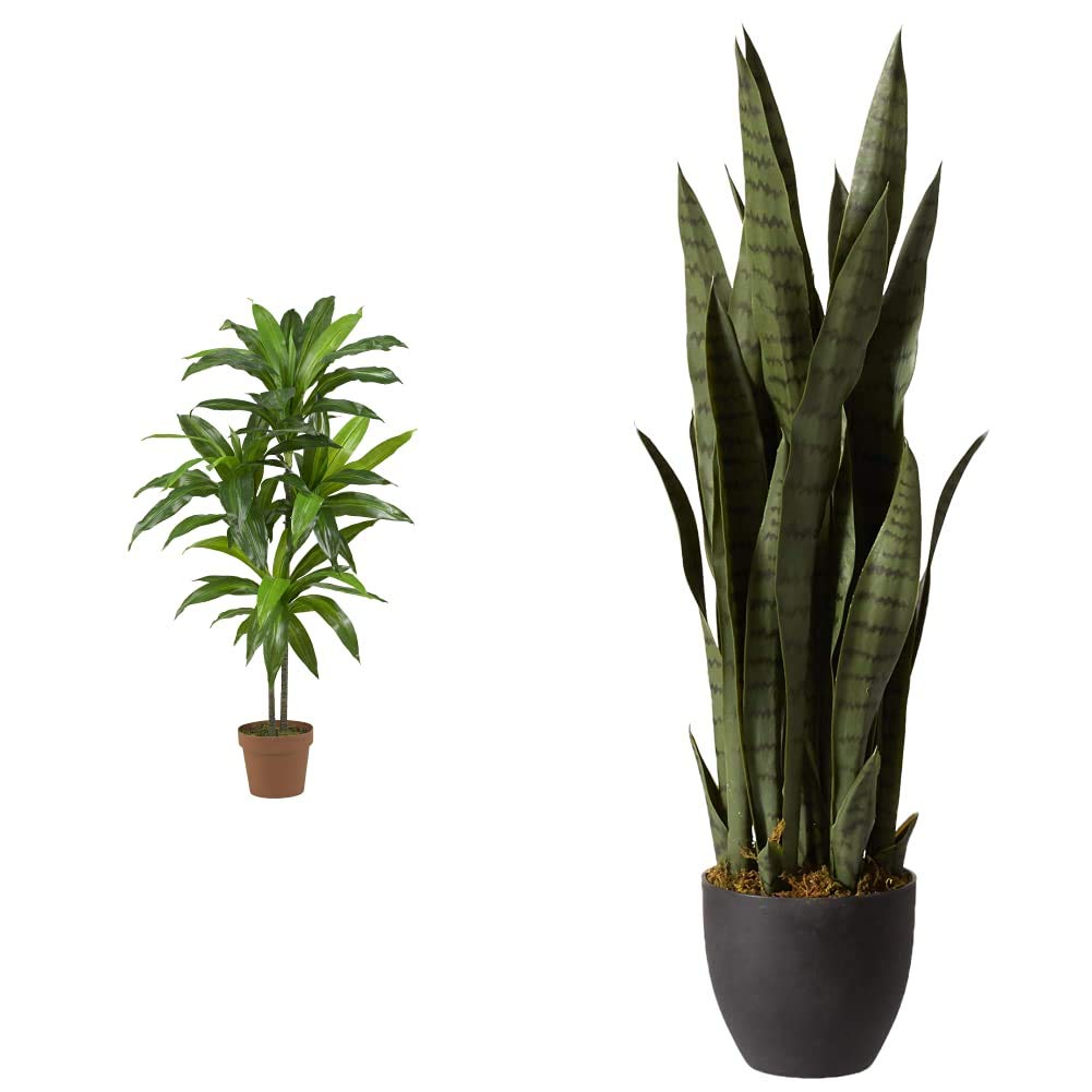Nearly Natural 43in. Dracaena Silk Artificial Plant with Real Touch Technology - Green & Green 4855 35in. Sansevieria Artificial Plant in Black Planter - Perfect for Home Office Decor, Living Room, and Indoor Spaces