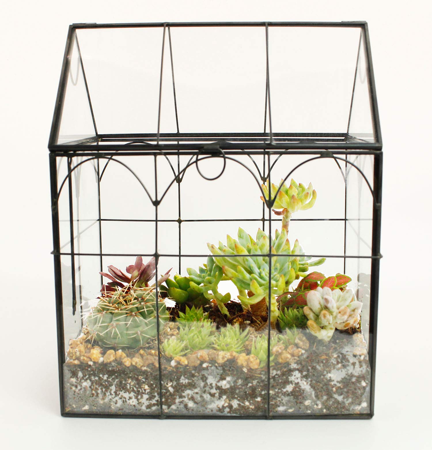 Glass Geometric Plant Terrarium for Succulents & Air Plants - Modern Home, Office & Garden Decor (Black) | Perfect for Indoor Plant Display, Wedding Centerpieces & Gift Ideas