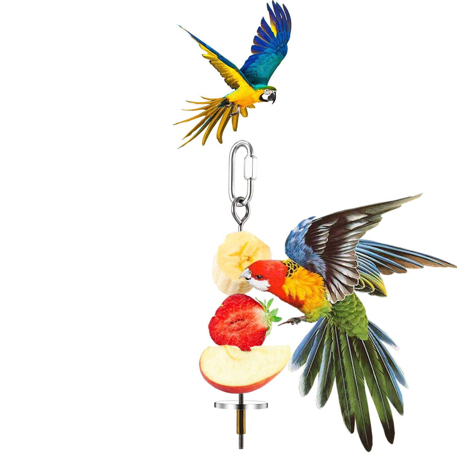 Stainless Steel Parrot Fruit Holder - Bird & Small Animal Foraging Toy with Skewer for Treats, Vegetables - Perfect for Parrot Cages, Aviaries & Small Pet Enrichment