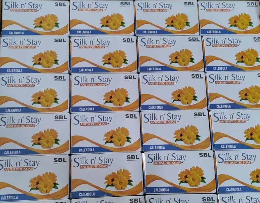 Antiseptic Hand Soap with Calendula Extract - 6 Pack | Gentle Cleansing for Daily Hygiene, Travel & Home Use