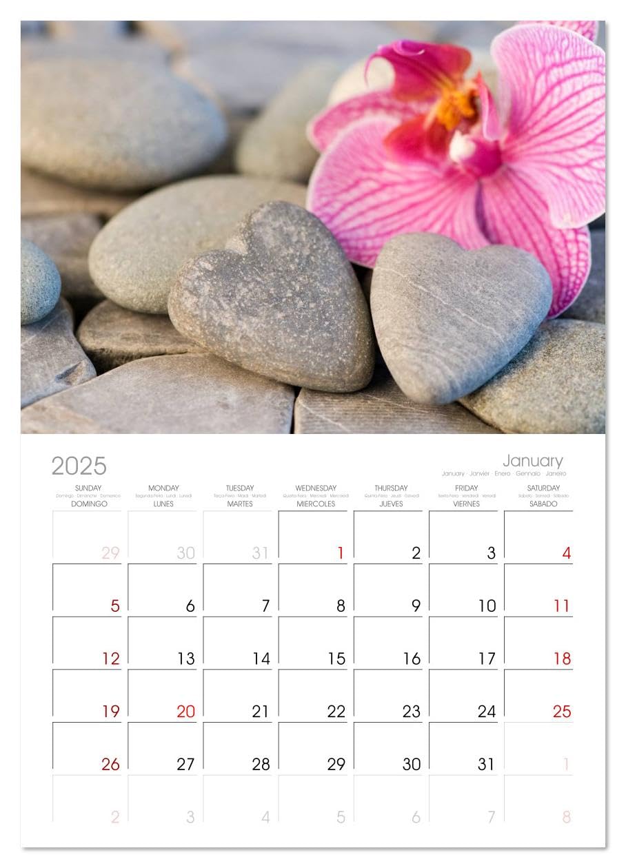 My Heart Beats Pink - 2025 Monthly Wall Calendar (11.7