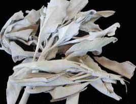 Organic White Sage Smudge Sticks for Cleansing & Meditation – Bulk Herbs for Spiritual Healing, Aromatherapy & Home Purification