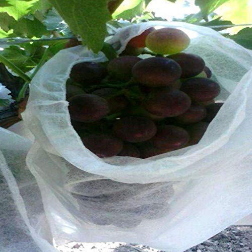 50 Pcs Reusable Fruit Protection Bags 7x8 Inch - Garden Netting Covers for Trees, Plants, Flowers - Durable Mesh Bags for Apple, Pear, Peach Protection (Perfect for Organic Gardening & Pest Control)
