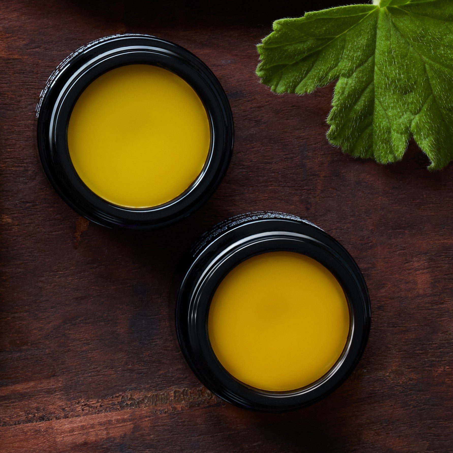 Laurel Citrus Spice Lip Treatment - Hydrating & Nourishing Lip Balm for Dry, Chapped Lips - Perfect for Winter Skincare & Daily Moisturizing